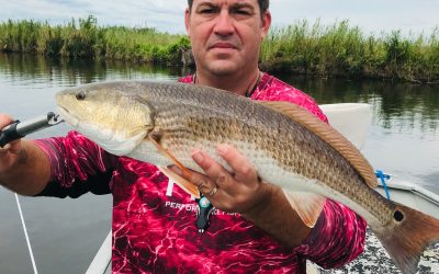 Early November 2020 Fishing Report