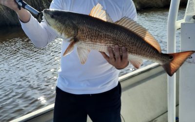 October 12 2020 Fishing Report