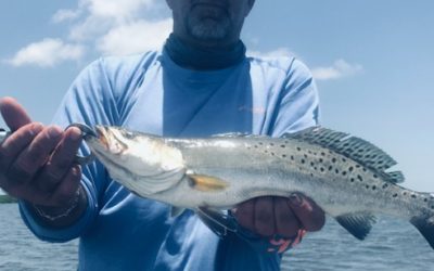 June 2021 Fishing Report